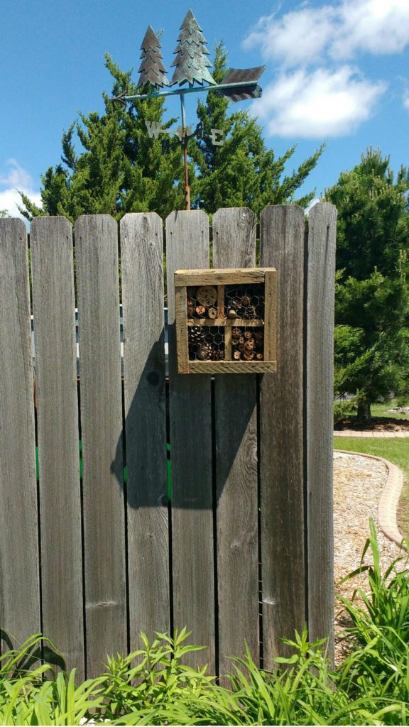 How To Plant a Pollinator Garden