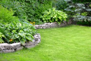 How to Landscape Your Yard While Being Environmentally Responsible