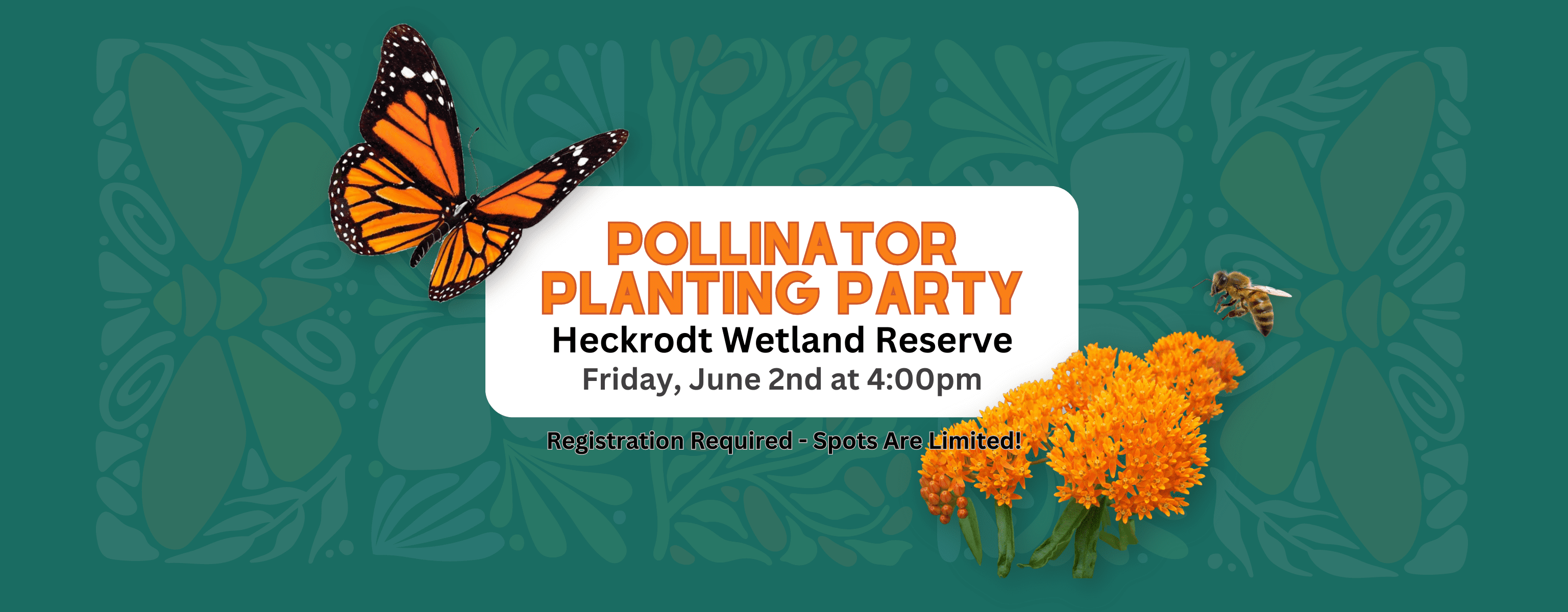 Pollinator Planting Party at Heckrodt Wetland Reserve Friday, June 2nd 2023 at 4:00pm